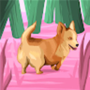 Meet your Posher, Misty